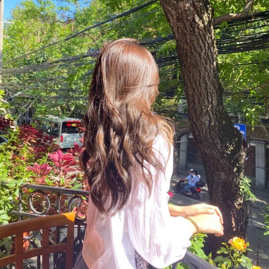 爱莉思的情书